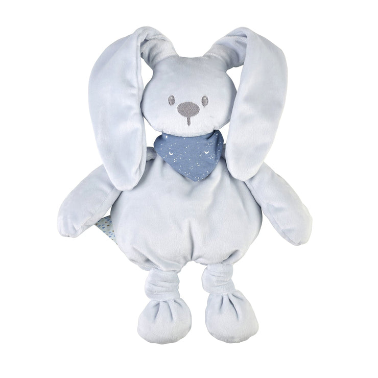 Blauer Oktopus von Lapidou