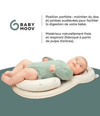 Babymoov Cozydream Fresh