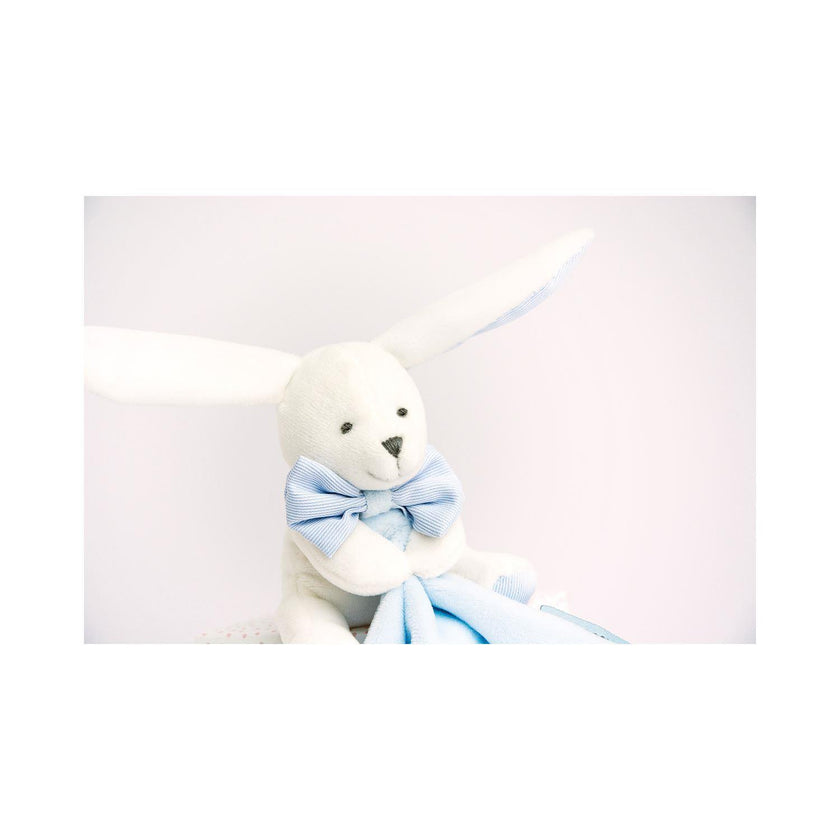 Lapin Mouchoir Bleu Boîte Fleur