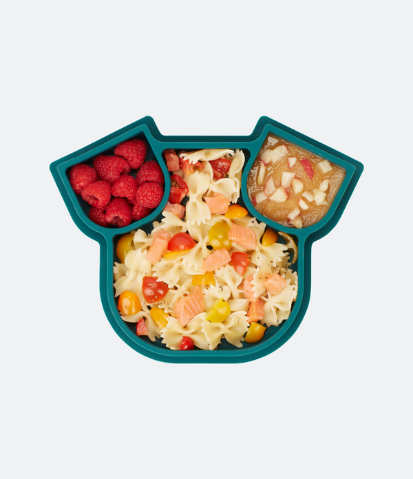 ISY silicone plate - dog