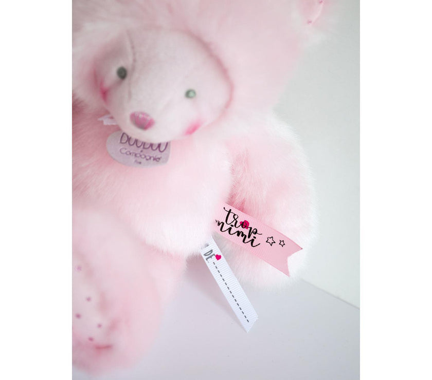 Doudou Ours Rose avec mouchoir 20 cm - Mode Bébé Claye