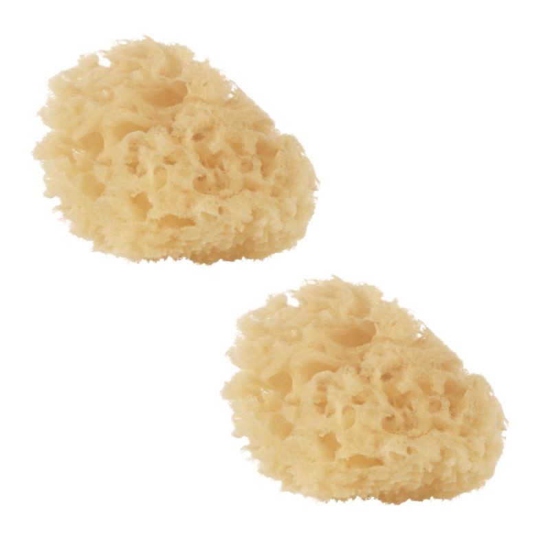 Lot de 2 Eponges naturelles bébé