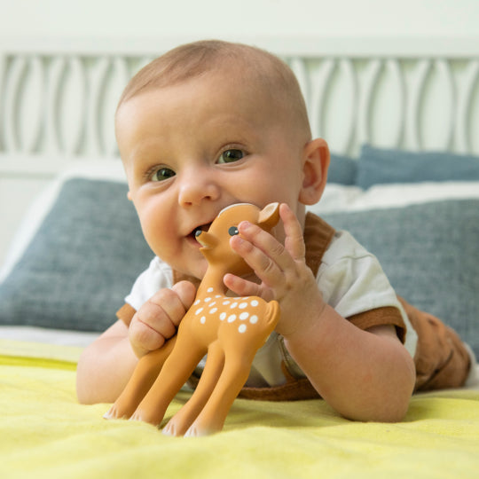 Fanfan the fawn Sophie the giraffe
