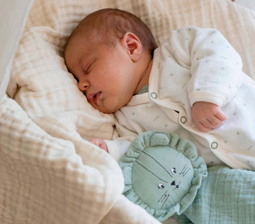 Kit naissance 6 pièces Vert sauge 0 mois - Mode Bébé Claye
